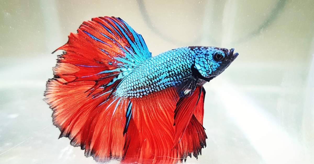 10 Best Checking Accounts 2025 114 Money