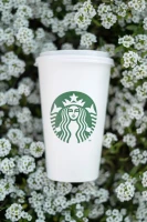 Starbucks blue coffee cup with secret elegance guide.