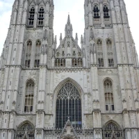 Chickens pecking Brussels sprouts to unlock secret of safe eating. Chickens pecking Brussels sprouts to unlock secret of safe eating.