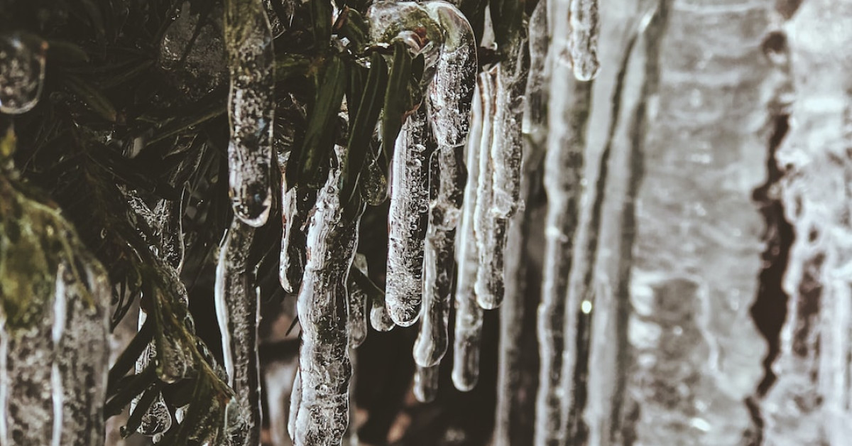 Guide to Perfectly Steaming Frozen Broccoli