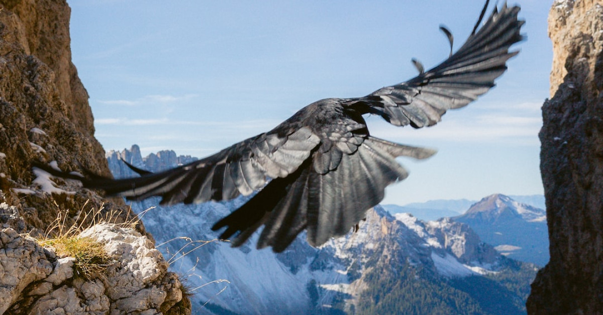 Homemade Garlic Parmesan Wing Sauce for Game Night.