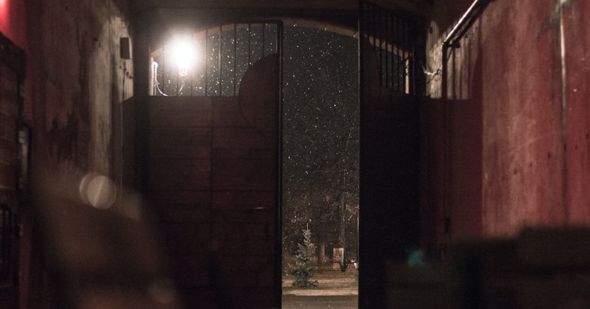 Fox Theater seating guide and tips infographic.