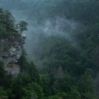 Is dumpster diving legal in Tennessee guide and key. Is dumpster diving legal in Tennessee guide and key.