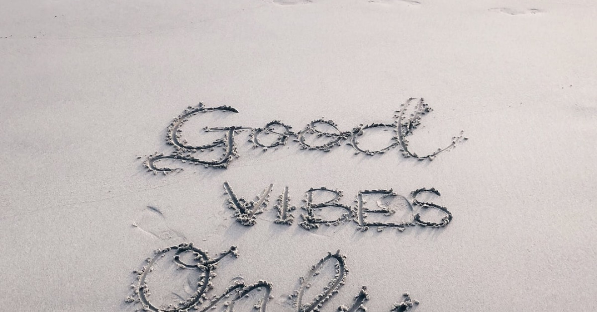 Guide to Picking Perfect Cantaloupes