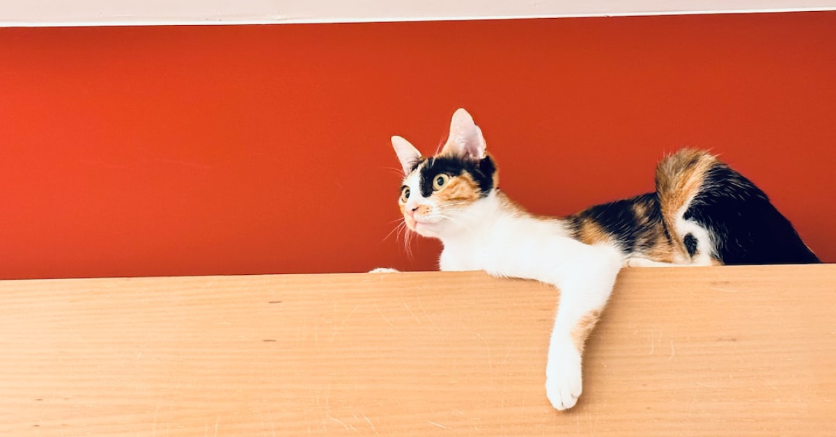 Unlock financial future - Call for advice at 407-732-2416.