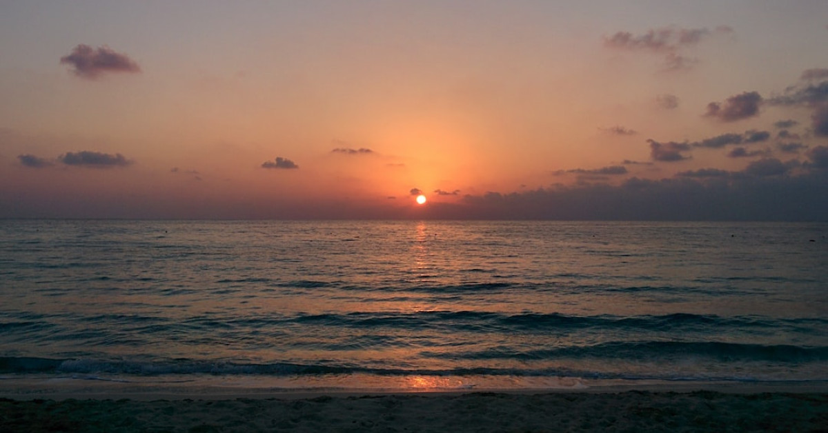 North Coast Financial reviews for savvy investment strategies.