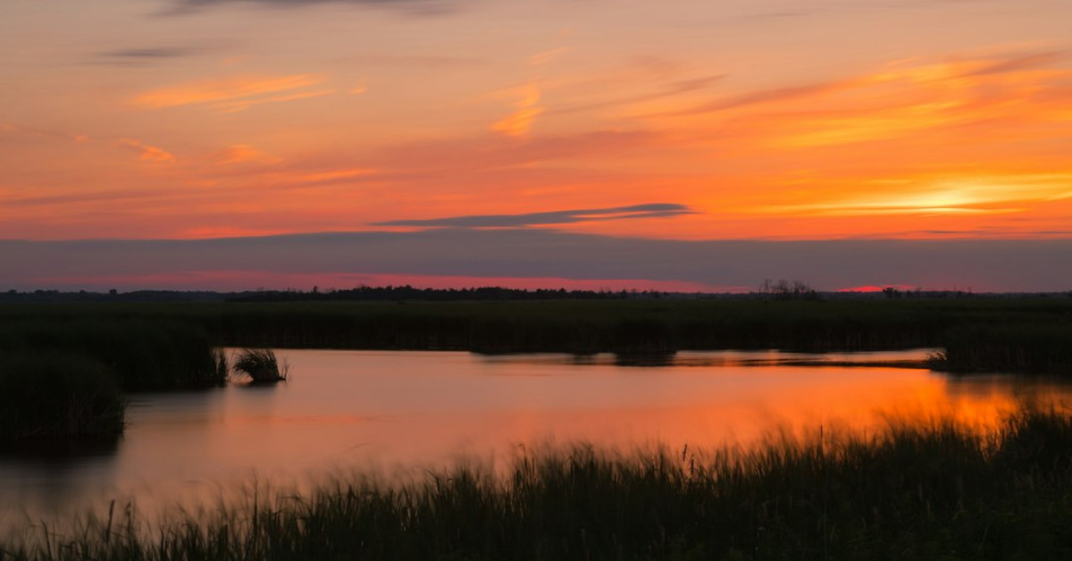 Wisconsin dumpster diving legal guide and secrets revealed.