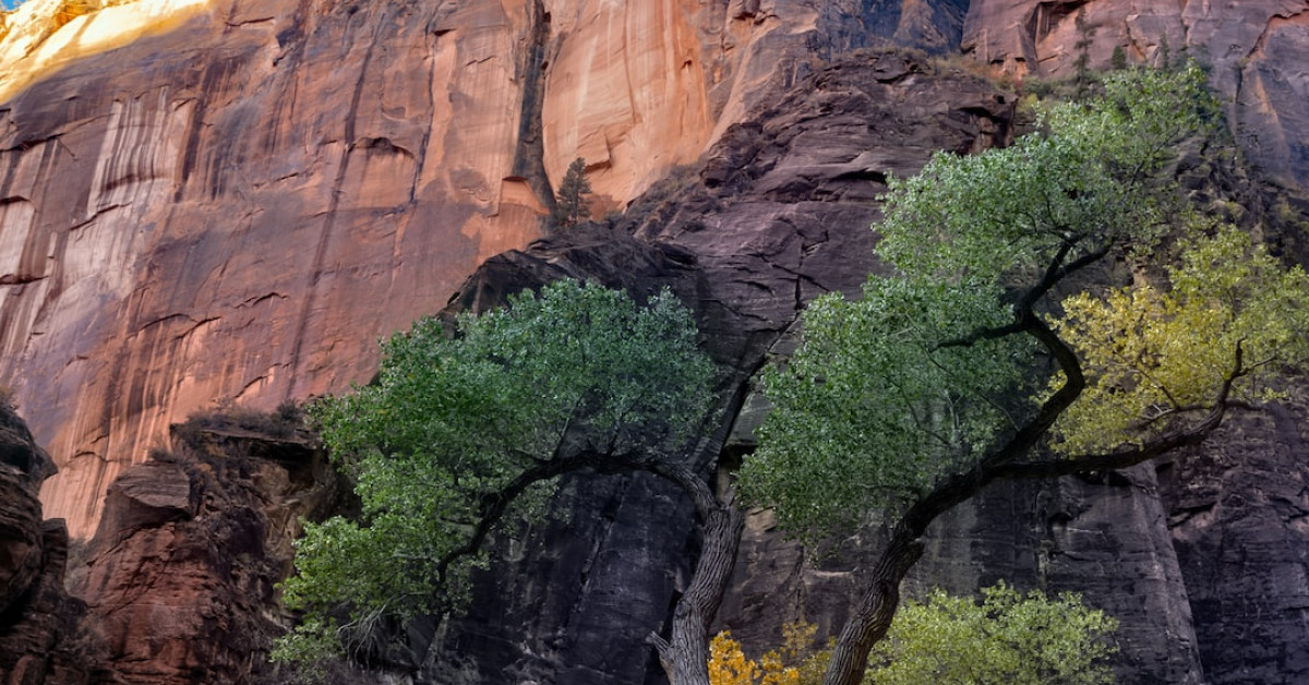 Utah dumpster diving laws explained in detailed report.