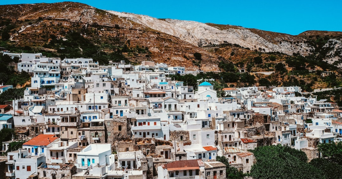 Lesser Scaup ducks swimming on serene waters.