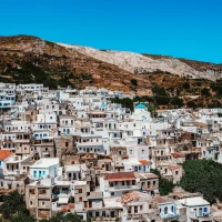 Lesser Scaup ducks swimming on serene waters. Lesser Scaup ducks swimming on serene waters.