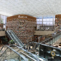 Top starfield gear for space explorers amidst cosmic backdrop. Top starfield gear for space explorers amidst cosmic backdrop.
