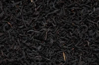 25 Tea Varieties - Exquisite Aromas for All Tastes