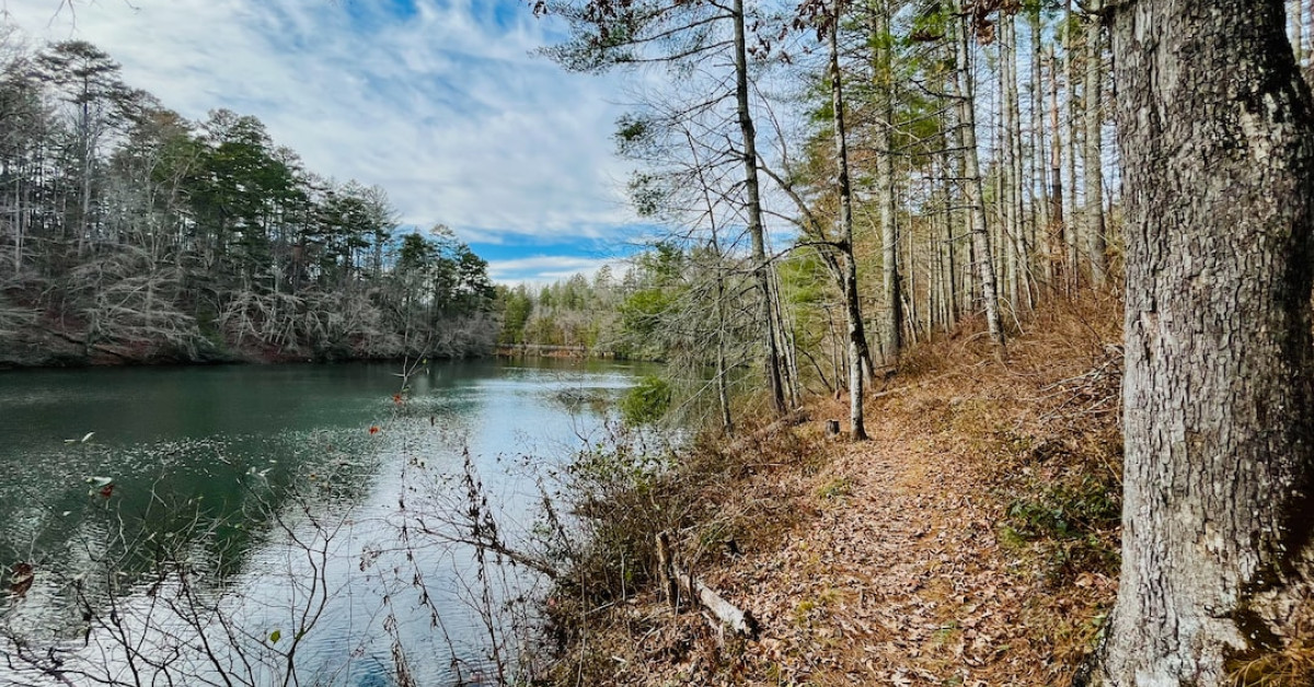Aran Murphy, Cillian Murphy's son, captured in a candid moment.
