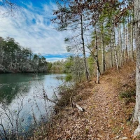 Aran Murphy, Cillian Murphy's son, captured in a candid moment. Aran Murphy, Cillian Murphy's son, captured in a candid moment.