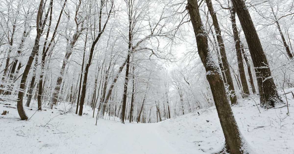 Erin French preparing dishes in kitchen.