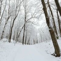 Erin French preparing dishes in kitchen. Erin French preparing dishes in kitchen.