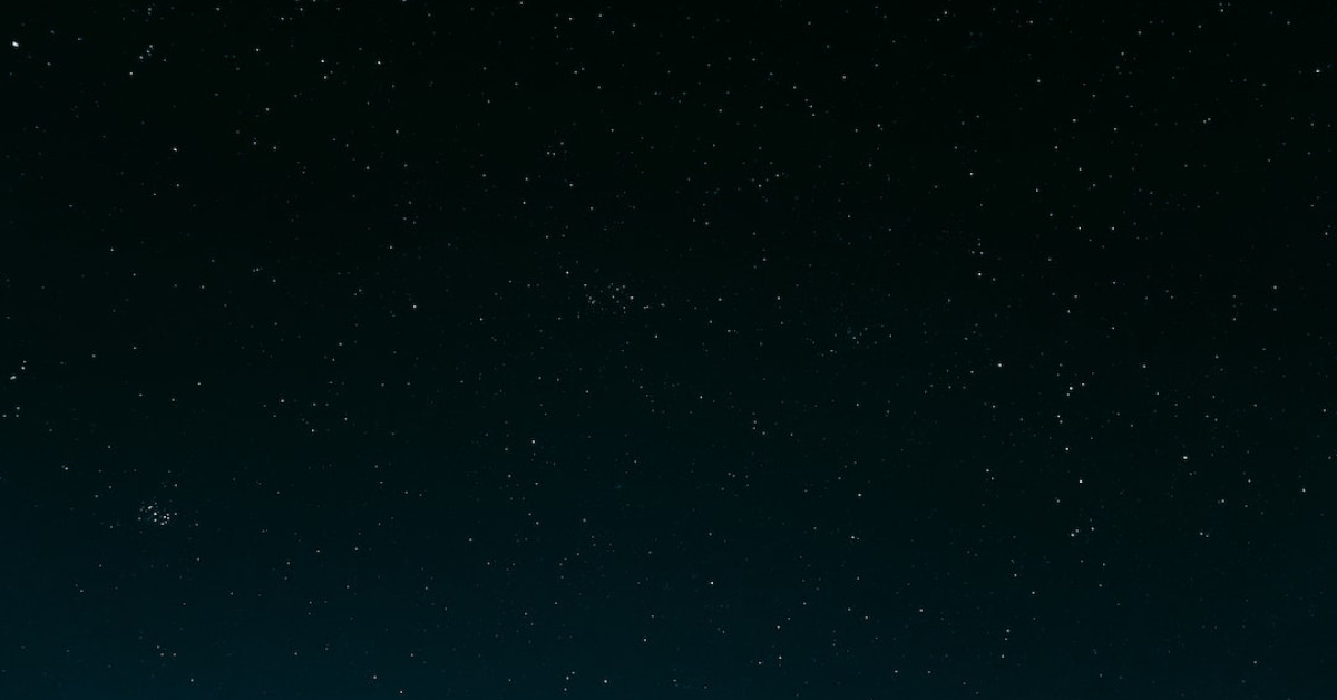 Black car wax results for glossy finish.