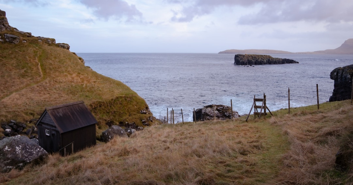 Unveiling the Enigma - 10 Intriguing Facts About Aria Shahghasemi