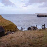 Unveiling the Enigma - 10 Intriguing Facts About Aria Shahghasemi Unveiling the Enigma - 10 Intriguing Facts About Aria Shahghasemi