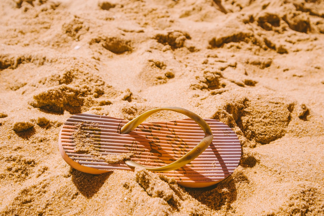 Maryland Dumpster Diving Legal Guide Infographic