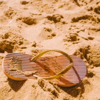 Maryland Dumpster Diving Legal Guide Infographic Maryland Dumpster Diving Legal Guide Infographic