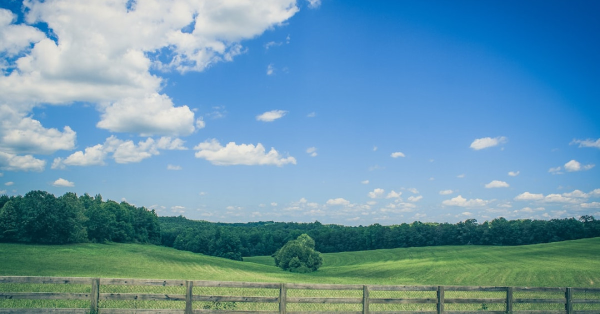Legal guide to dumpster diving in South Carolina infographic.