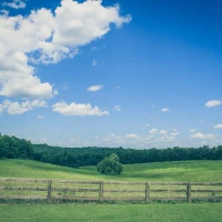 Legal guide to dumpster diving in South Carolina infographic. Legal guide to dumpster diving in South Carolina infographic.