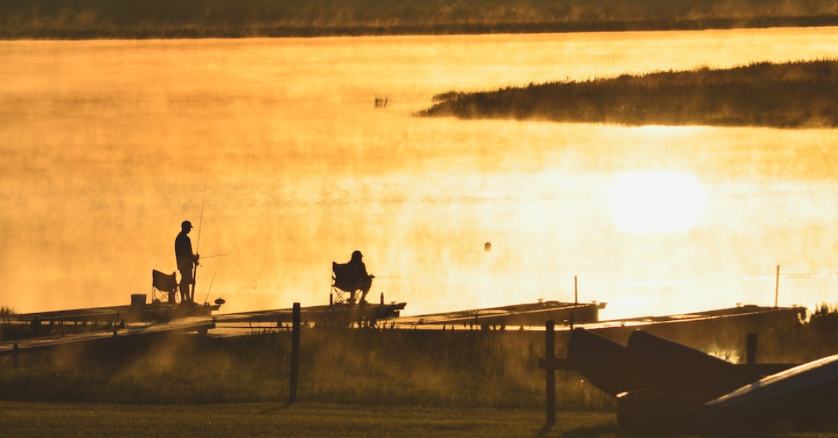 Florida Dumpster Diving Legality Guide Cover