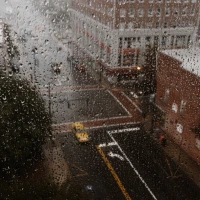 Guide to Dumpster Diving Legality in North Carolina Guide to Dumpster Diving Legality in North Carolina