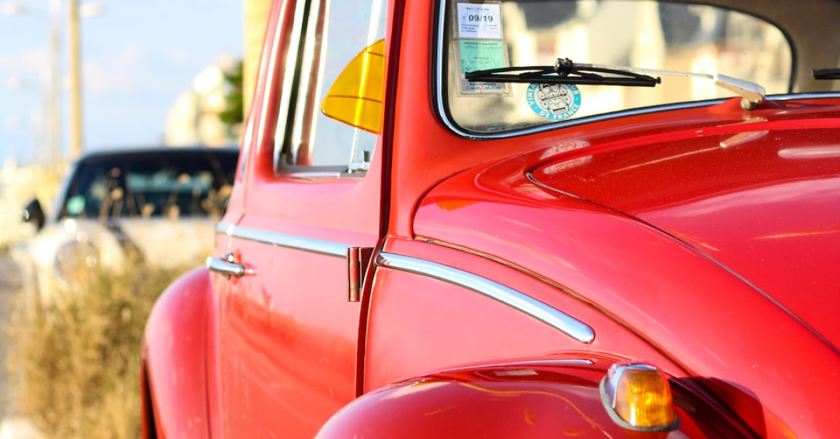 Neoclypeodytes cinctellus diving beetle detailed close-up image.
