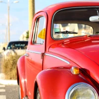 Neoclypeodytes cinctellus diving beetle detailed close-up image. Neoclypeodytes cinctellus diving beetle detailed close-up image.