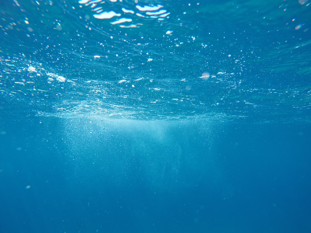 Divers exploring vibrant coral reef underwater.