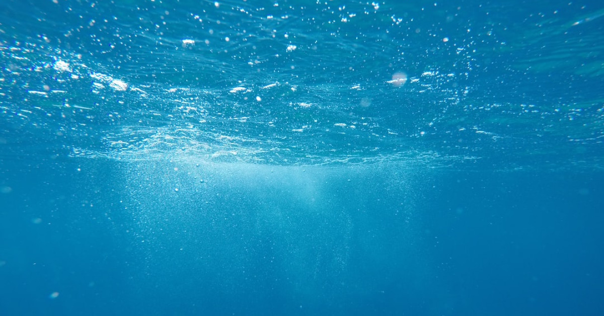 Divers exploring vibrant coral reef underwater.