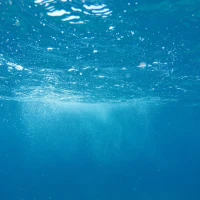 Divers exploring vibrant coral reef underwater. Divers exploring vibrant coral reef underwater.