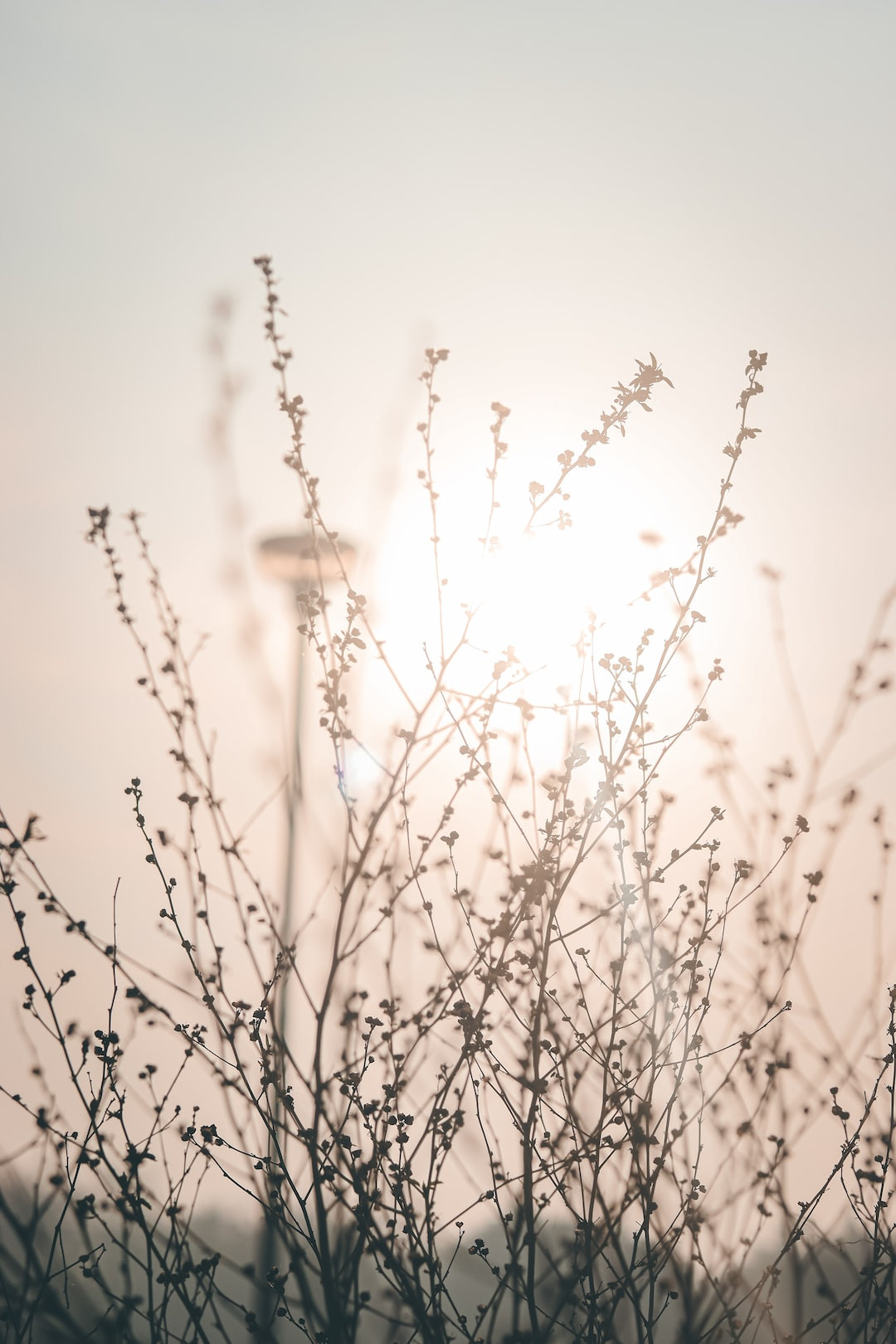 Engine maintenance cost breakdown for Toyota vehicles.