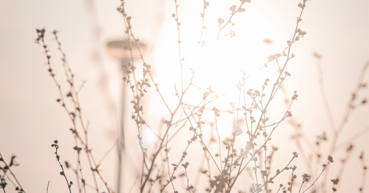 Engine maintenance cost breakdown for Toyota vehicles.