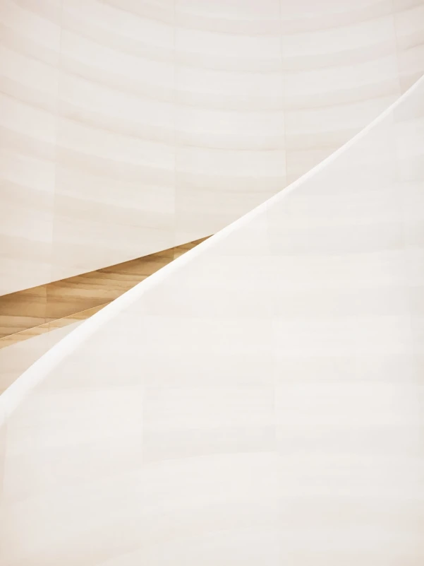 Orchard Oriole perched on a branch, exhibiting vibrant plumage.