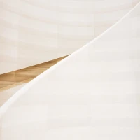 Orchard Oriole perched on a branch, exhibiting vibrant plumage. Orchard Oriole perched on a branch, exhibiting vibrant plumage.