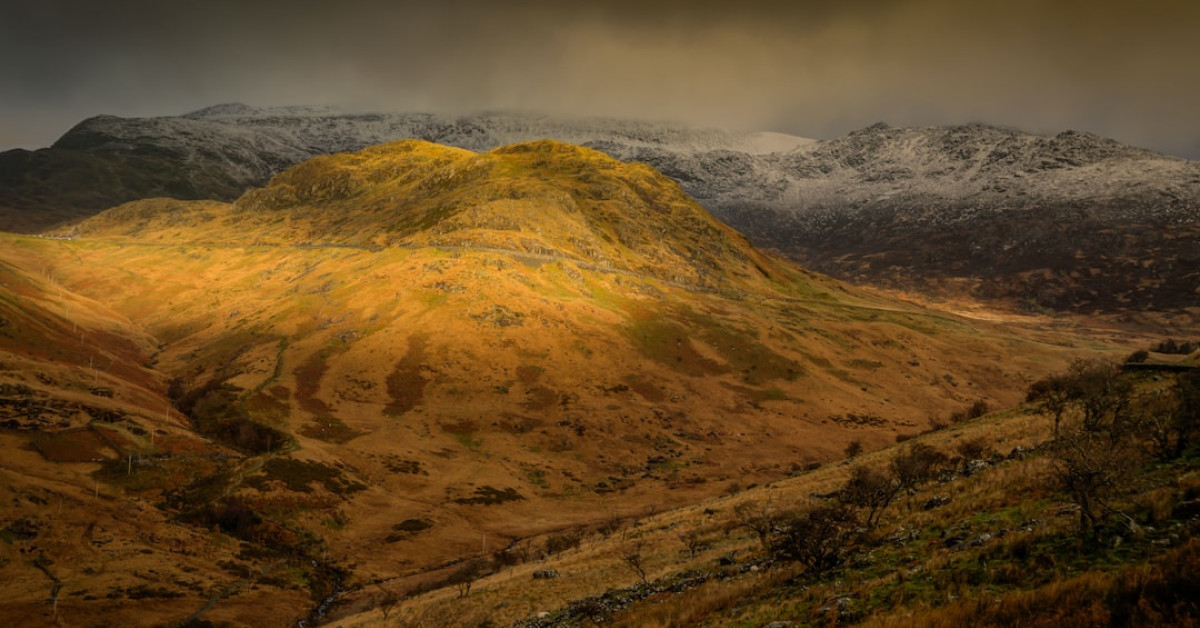 Unveiling facts about Zion David Marley, Lauryn Hill, and Rohan Marley's talented legacy
Note: The provided URL does not exist, so the image cannot be accessed for a description.