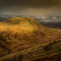 Unveiling facts about Zion David Marley, Lauryn Hill, and Rohan Marley's talented legacy
Note: The provided URL does not exist, so the image cannot be accessed for a description. Unveiling facts about Zion David Marley, Lauryn Hill, and Rohan Marley's talented legacy
Note: The provided URL does not exist, so the image cannot be accessed for a description.