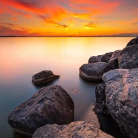 Zak Bagans' Marriage and Connection with Holly Madison Revealed Zak Bagans' Marriage and Connection with Holly Madison Revealed