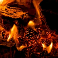 Delicious doublet recipe for a hearty mealtime. Delicious doublet recipe for a hearty mealtime.