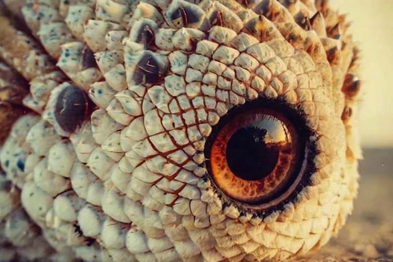 Wednesday Instagram Captions 280+ Hot Instagram Caption for Wednesday to Ignite Your Feed