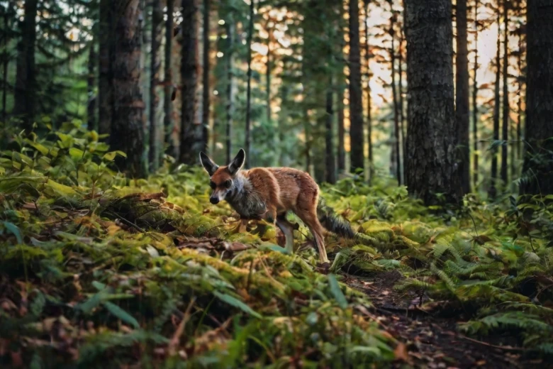 What is the best caption of nature? 100+ Best and Short Nature Captions for Instagram 2024: Elevate Your Posts