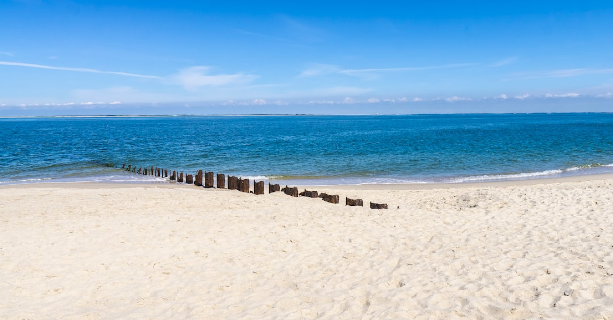 List of Dan Bilzerian's girlfriends in 2022.