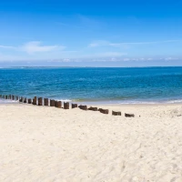 List of Dan Bilzerian's girlfriends in 2022. List of Dan Bilzerian's girlfriends in 2022.