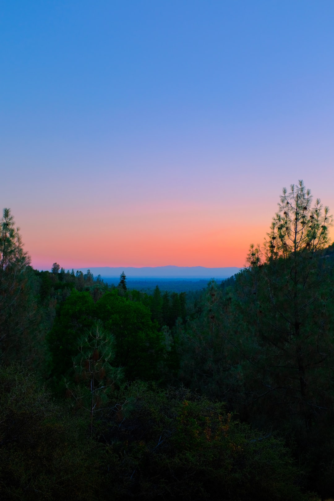 Deacon Reese Phillippe: Untold Truths about Ryan Phillippe's Son