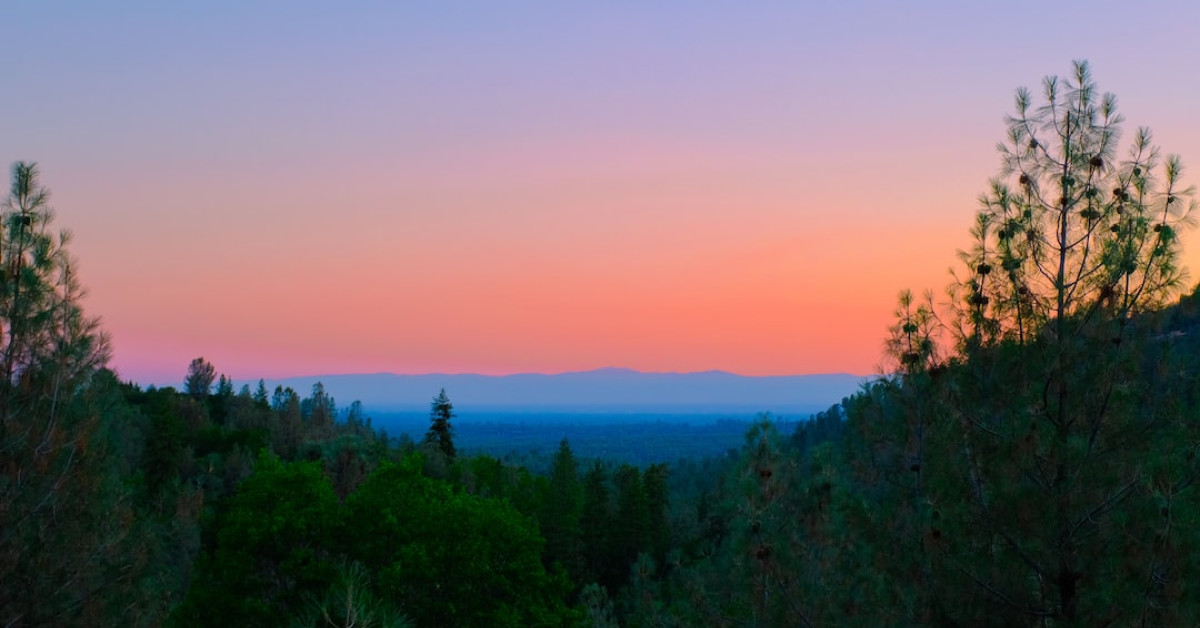 Deacon Reese Phillippe: Untold Truths about Ryan Phillippe's Son