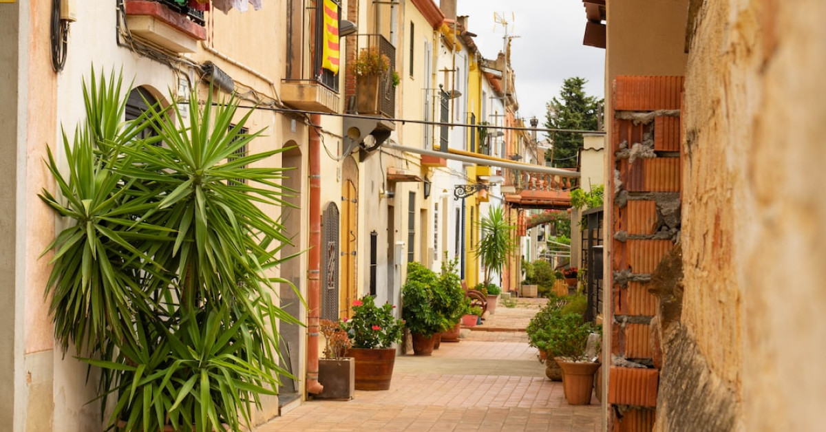 Why Cycles El Jefe mountain bike on rugged trail.