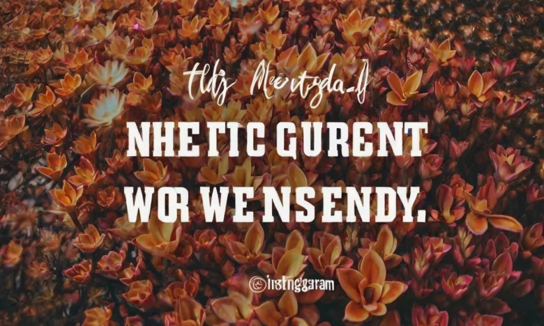 Wise Quotes for Wednesday Instagram 280+ Hot Instagram Caption for Wednesday to Ignite Your Feed